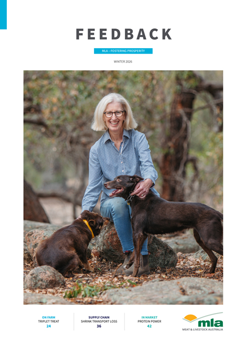 MLA Feedback magazine - Winter 2026